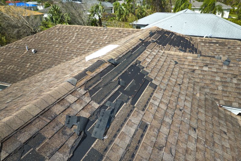 Roof Repair Projects